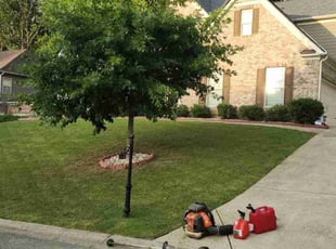 Shanthony M.'s lawn care service result