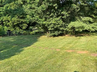 Melissa M.'s lawn service service result