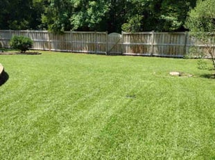 Anthony S.'s turf maintenance service result