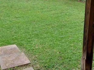 Karin L.'s lawn service service result