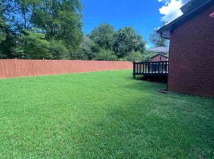 Theodore H.'s lawn care service result
