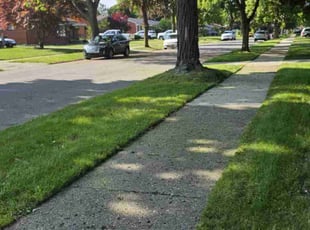 Endia S.'s yard care service result