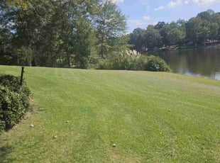 Calvin H.'s turf care service result