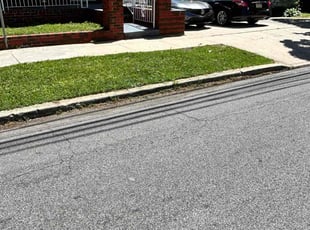 Ken P.'s lawn maintenance service result