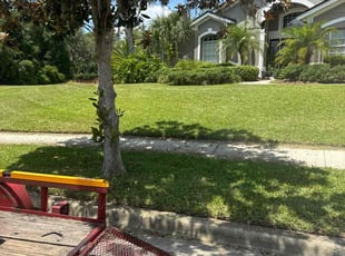John J.'s lawn care service result