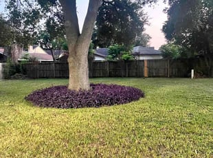 Laura N.'s grass maintenance service result