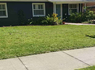Nicole T.'s grass cutting service result