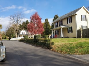 Brian V.'s Bush Trimming service result
