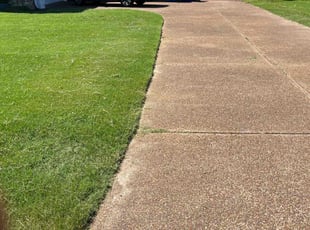 Jeanelle A.'s lawn care service result