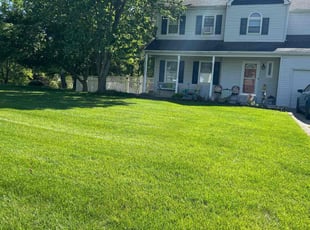 Brandon C.'s lawn care service result