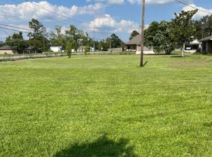 Steven J.'s grass cutting service result