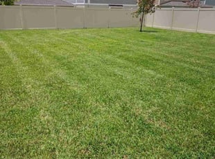 Dustin H.'s lawn maintenance service result