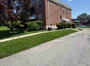 Jen C.'s lawn care services service result