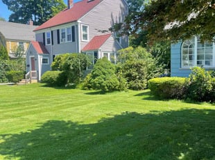 Dashavia B.'s lawn care services service result