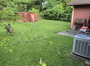 Shashi D.'s turf maintenance service result