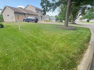 Rob S.'s lawn care services service result