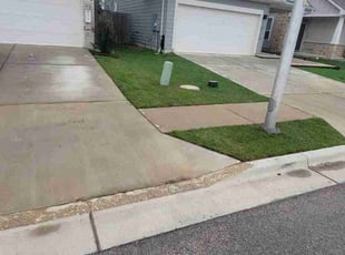 Donna S.'s lawn care service result