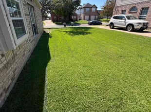 Jerilynn G.'s lawn service service result