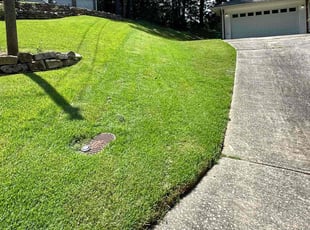 Susan C.'s lawn service service result