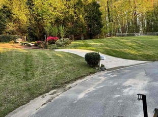 Amanda D.'s turf care service result