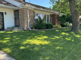 April D.'s grass maintenance service result