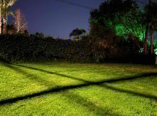 Julie F.'s Leaf Removal service result