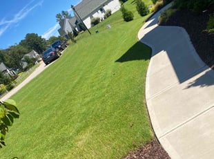 Mary D.'s grass cutting service result
