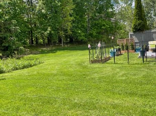 Jamie M.'s turf care service result