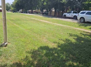 Nancy G.'s turf maintenance service result