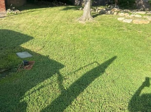 Christell W.'s lawn care services service result