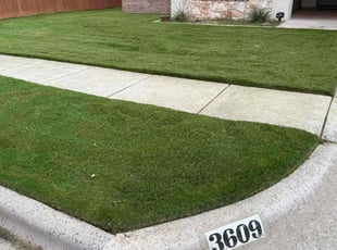 Taylor W.'s grass maintenance service result