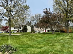 Joe S.'s lawn care services service result