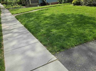 Ed M.'s lawn care service result