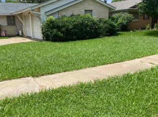 Fran H.'s lawn service service result