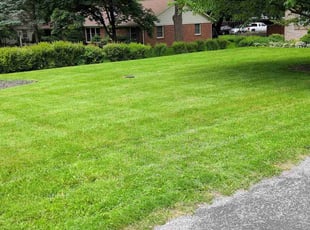 Heather Y.'s lawn care services service result