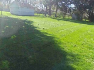 Jerry B.'s turf maintenance service result