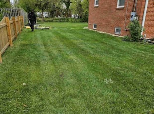 Roger K.'s lawn service service result