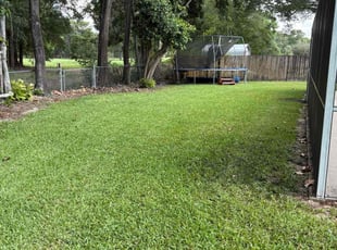 Ida S.'s lawn care services service result