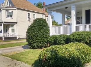 Larry J.'s Bush Trimming service result