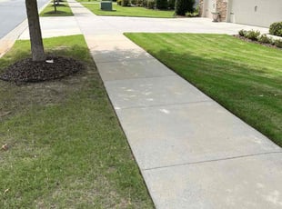 Shirley T.'s lawn service service result