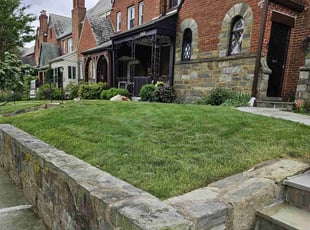 Tracy D.'s turf care service result