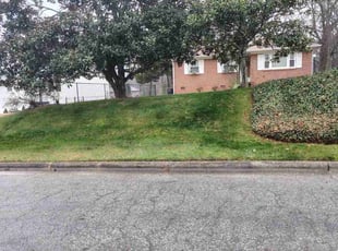 Jeanette M.'s turf maintenance service result