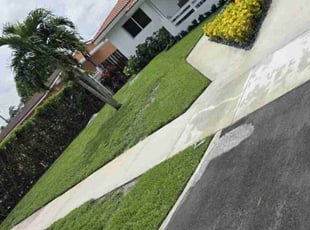 Rita S.'s turf maintenance service result