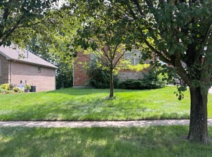Nina C.'s grass maintenance service result