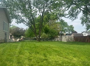 Mark H.'s grass maintenance service result