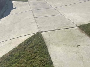 Nick M.'s turf maintenance service result