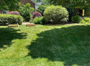 Darrell C.'s grass maintenance service result