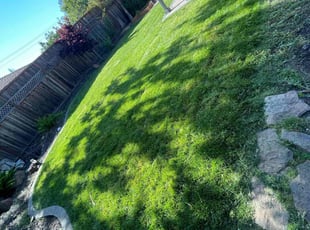 James C.'s Cleanups service result