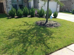 Robert T.'s lawn service service result