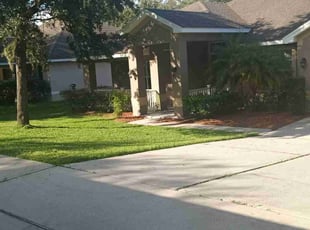 Tricia S.'s grass cutting service result